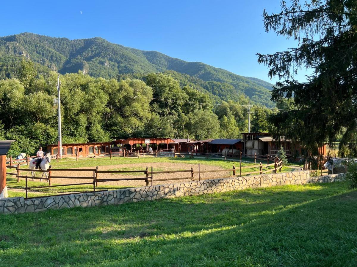 Apartman Kykula - Terchova, Vysne Kamence 1520 المظهر الخارجي الصورة